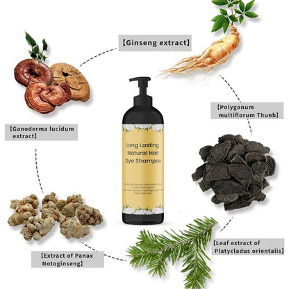 Natural Hair Dye Shampoo